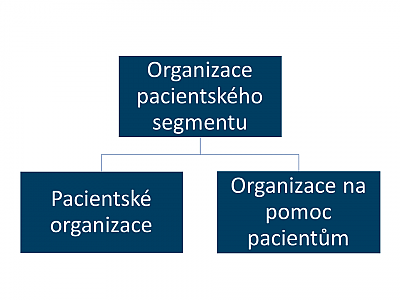 Organizace pacientského segmentu